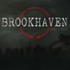 Brookhaven Experiment, The